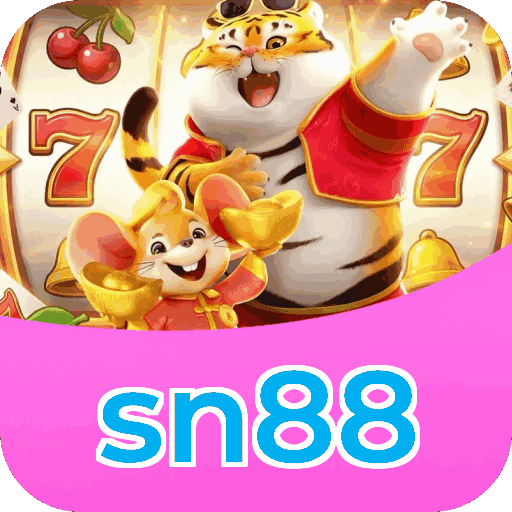 Equipe de suporte ao cliente da sn88